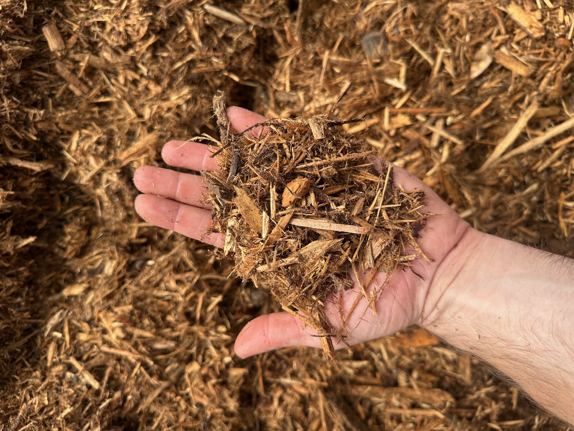 https://shop2.three-z.com/storage/photos/1/Products/Mulch/Cypress/CYPRESS MULCH 2.jpg